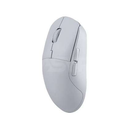 RAKK DASIG X3 White - 10489-a