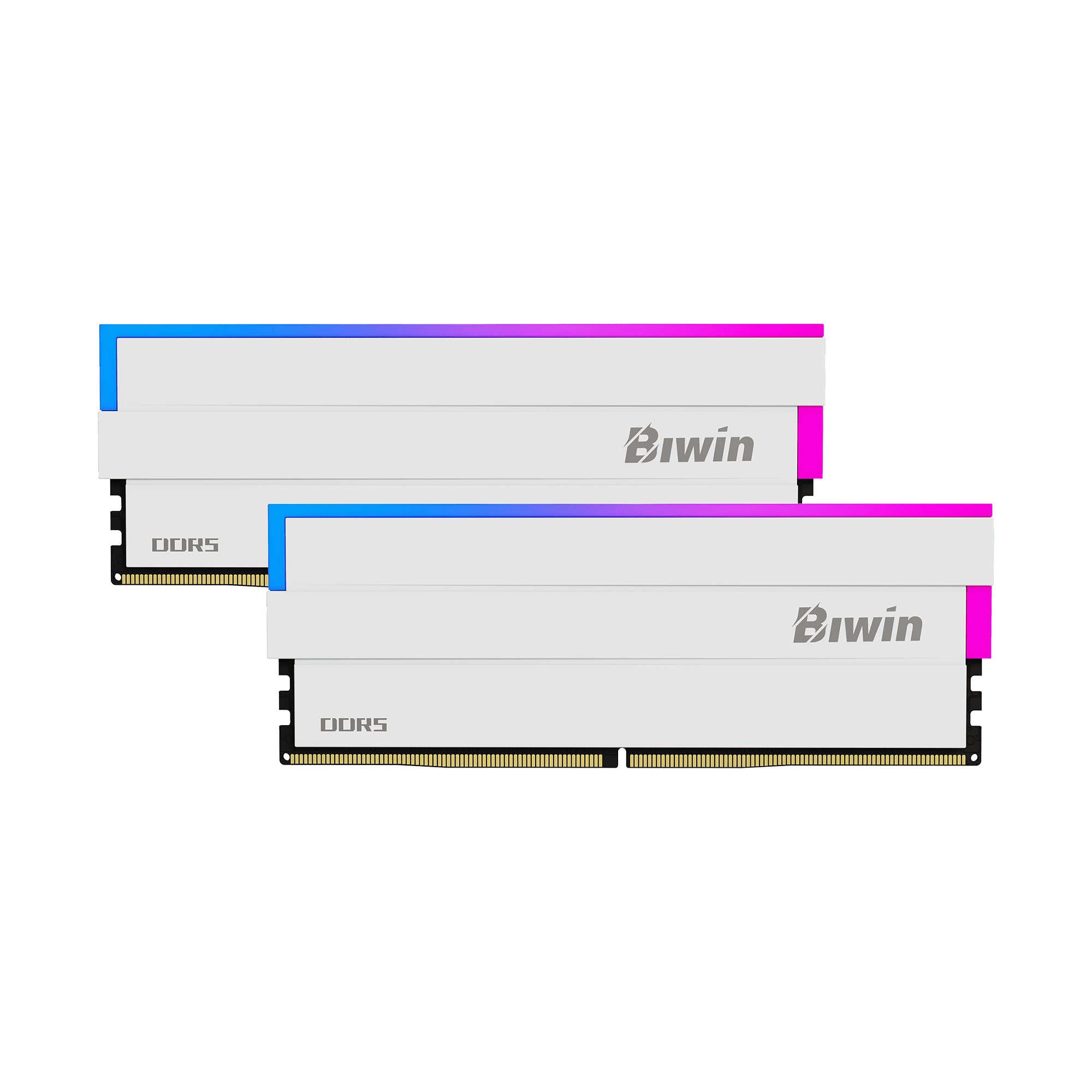 Biwin Opal DW100 32GB 2x16 6000MHz CL36 DDR5 RGB Memory RAM – EasyPC