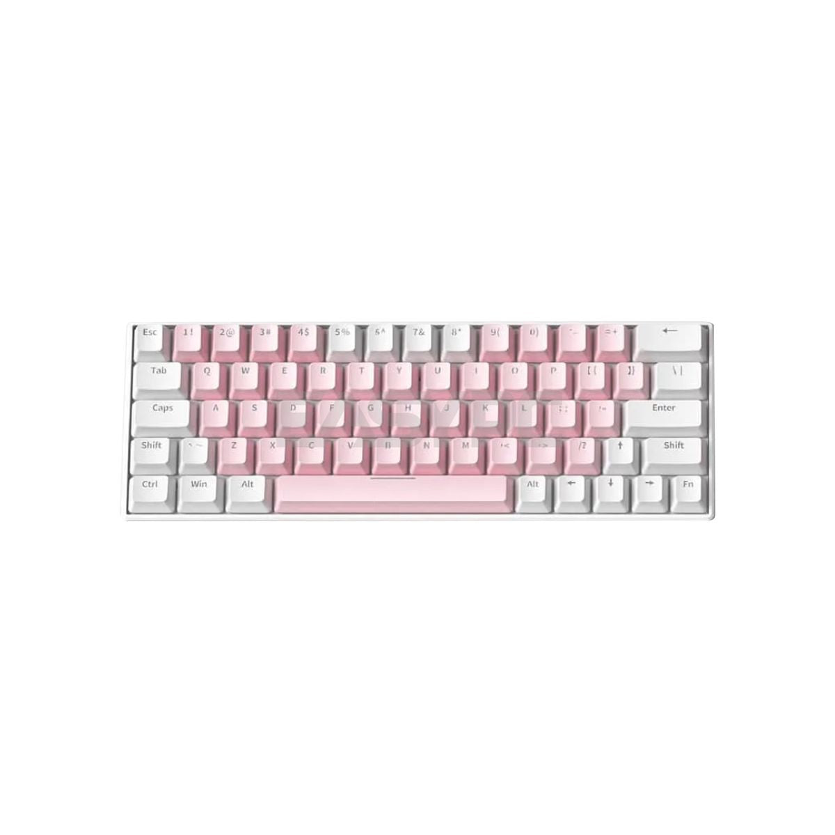 Anubis AG64 RGB Pink White-a