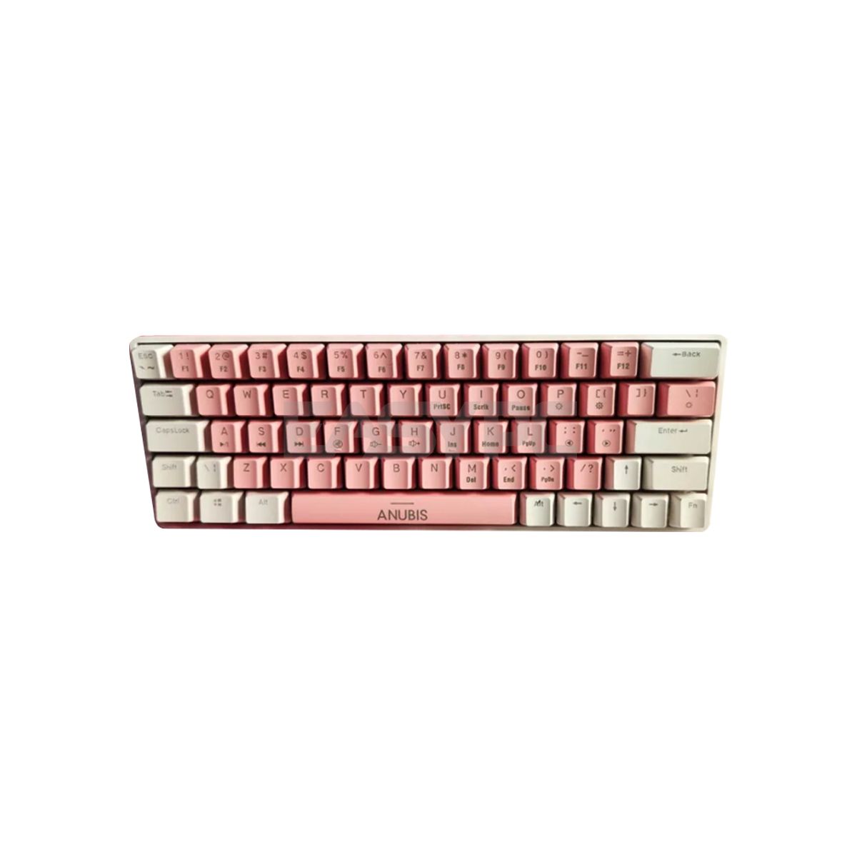 Anubis AG64 RGB Pink White-b
