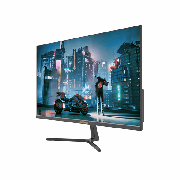 GAMDIAS ATLAS HD24IF 23.8" FAST IPS 165Hz Flat Gaming Monitor – EasyPC