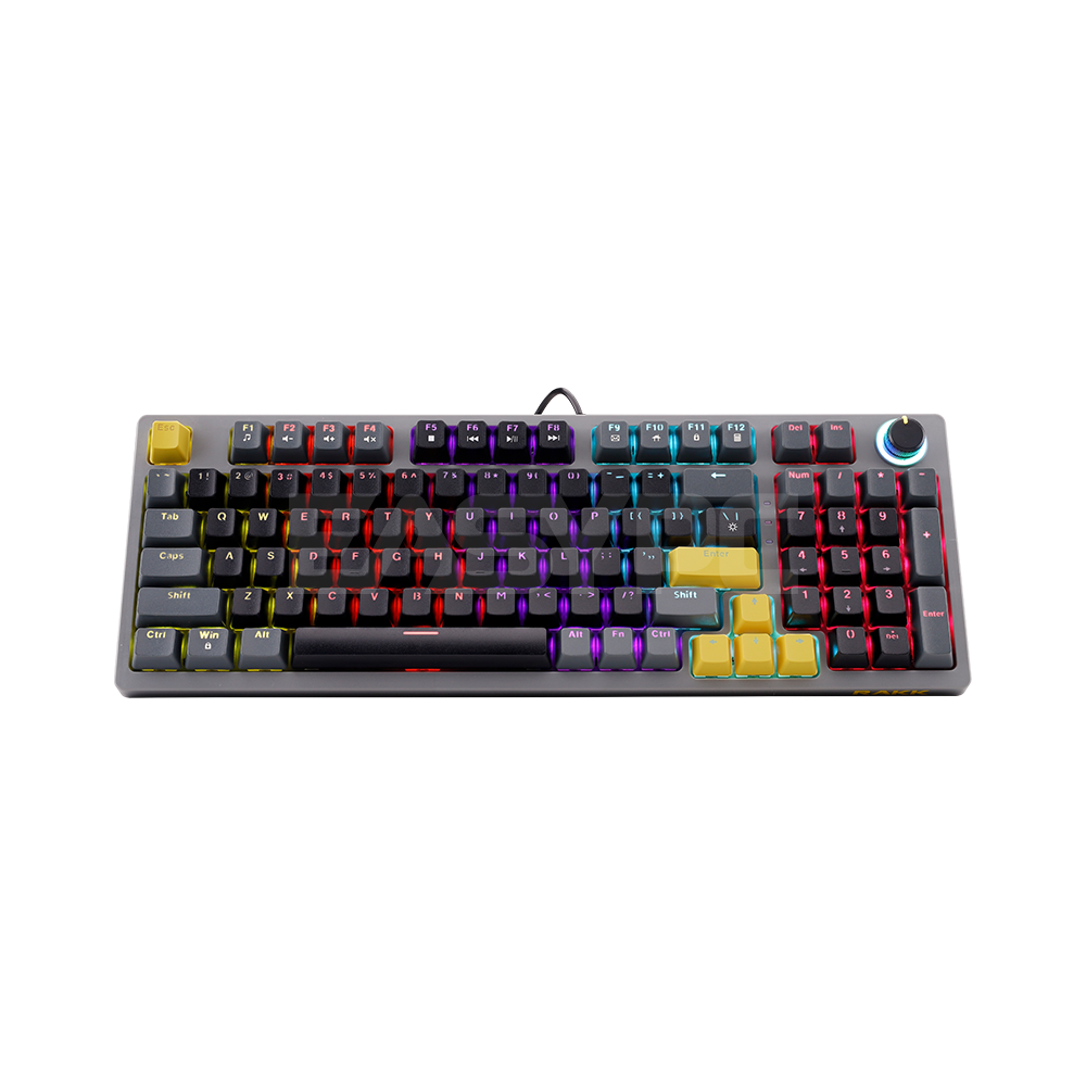Daug Key RAKK DAUG 96 Keys Wired Keyboard|Hotswappable|Rainbow – EasyPC