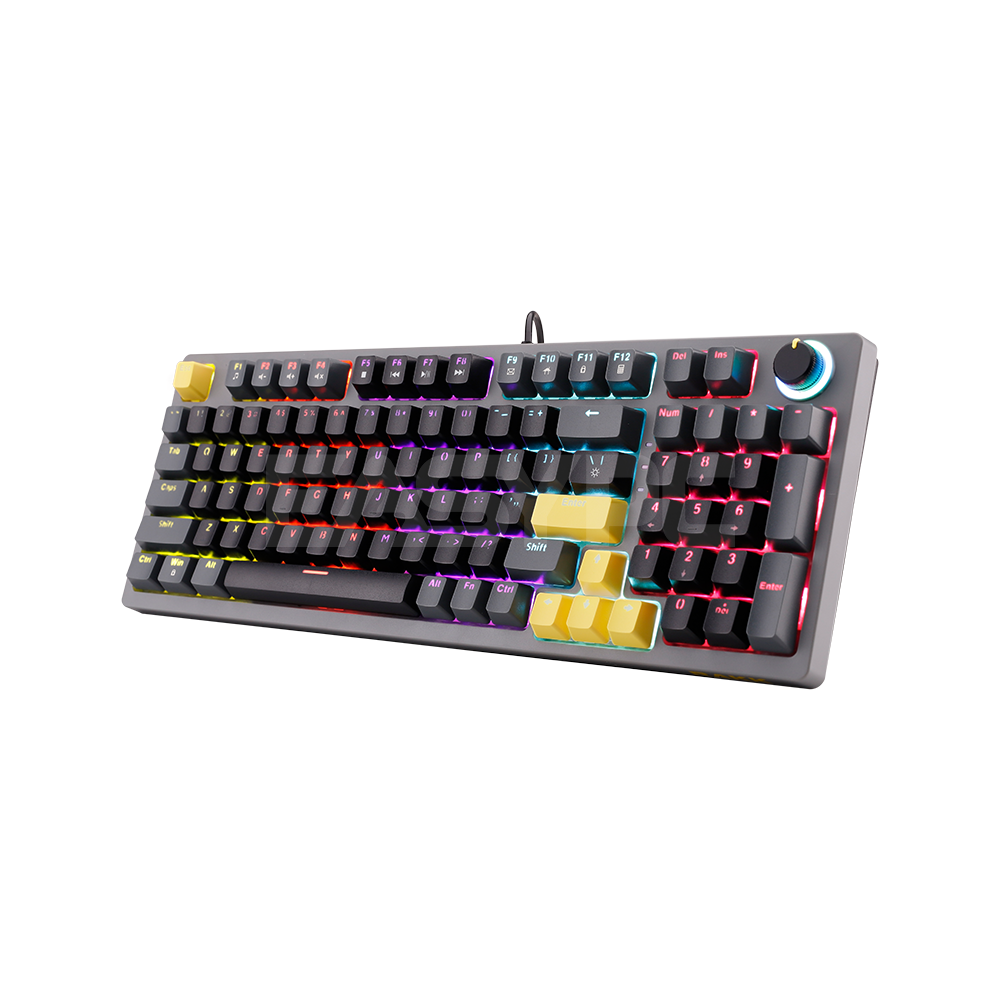 RAKK DAUG 96 Keys Wired Gaming Keyboard|Hotswappable|Rainbow LED|Yello ...