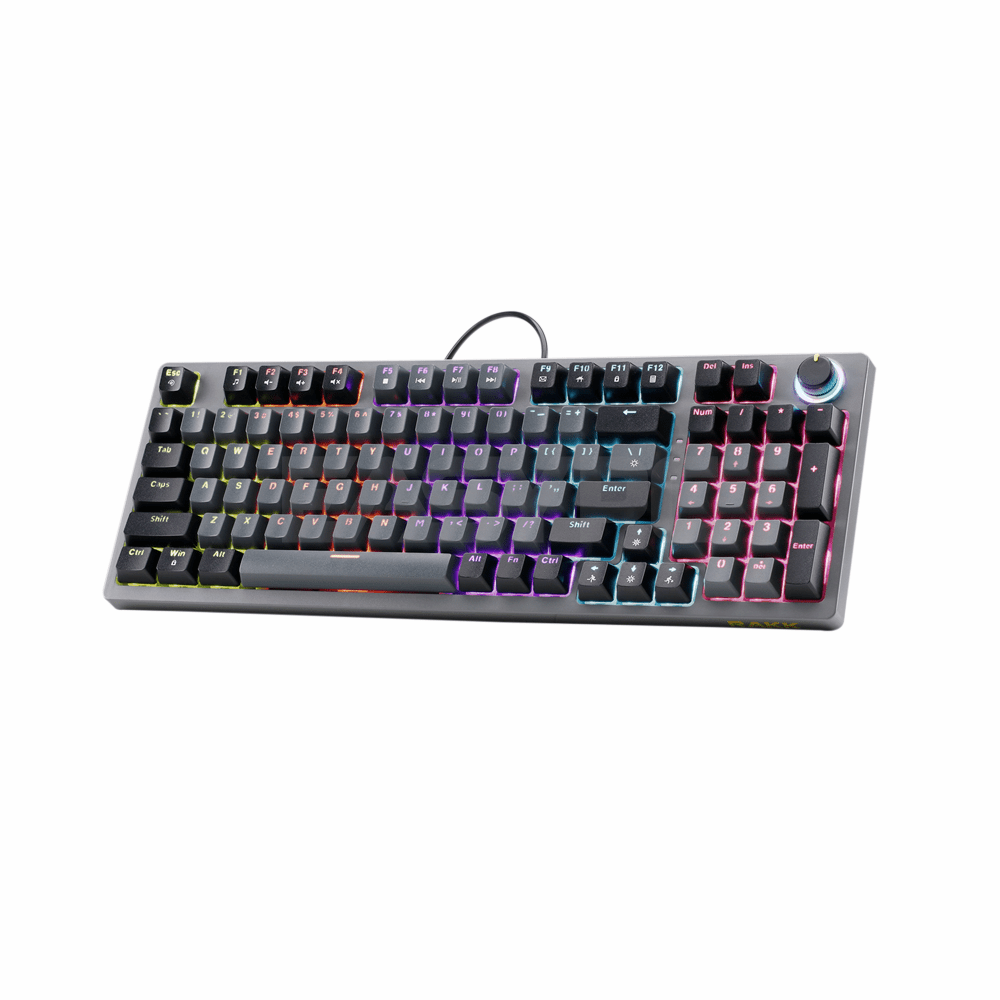 RAKK DAUG 96 Keys Wired Keyboard|Hotswappable|Rainbow – EasyPC