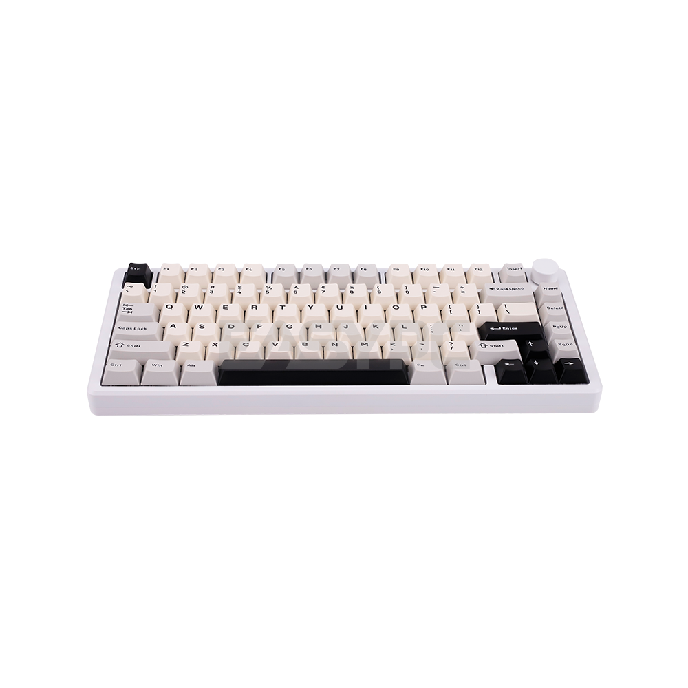 RAKK Hanan Ultra|Gasket Mount Aluminum CNC Case|81 Keys Trimode Mechanical Keyboard|White-d