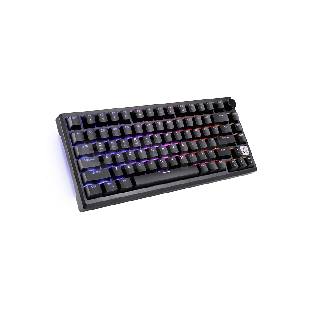 RAKK TALA 81 Keys White / Trimode / RGB / Universal Hotswap / Gasket Mount / Brown Switch/ Black-b
