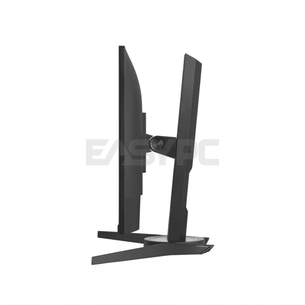 Viewsonic XG2409 24