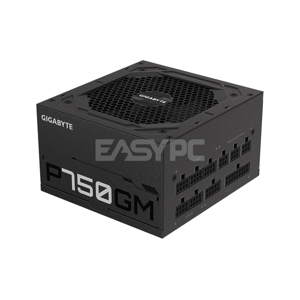 Gigabyte P750GM 750 watts 80 Plus Power Supply Gold