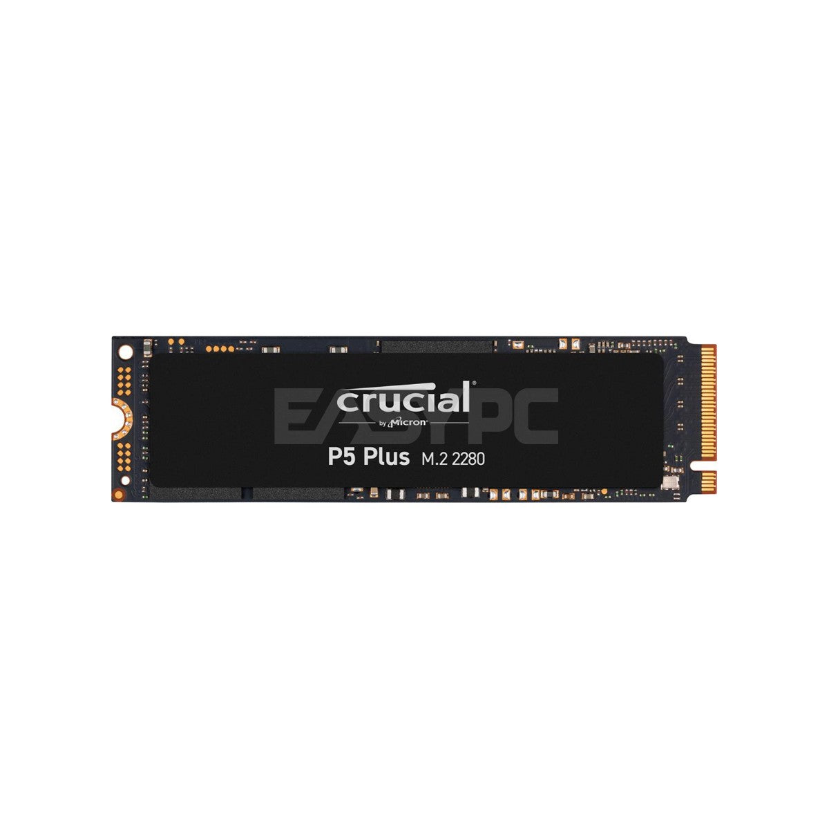 ミ*ス様 Crucial P5 Plus NVMe 1TB SSD Gen4x4 Crucial P5 Plus 1TB Internal SSD NVMe PCIe Gen 4 x4 CT1000P5PSSD8