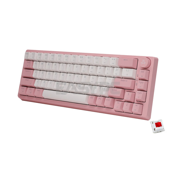 RAKK PIRAH Wireless Gaming Keyboard Pink Hot swappable Socket 65% Layo ...