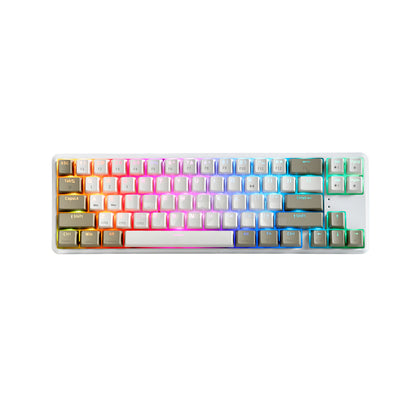 Daug Key RAKK DAUG 96 Keys Wired Keyboard|Hotswappable|Rainbow – EasyPC