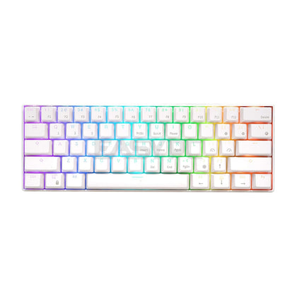 Royal Kludge RK61 ABS Double Shot Keycaps, White & Black Case, Blue & Brown Switch RGB Mechanical Gaming Keyboard  4JTP